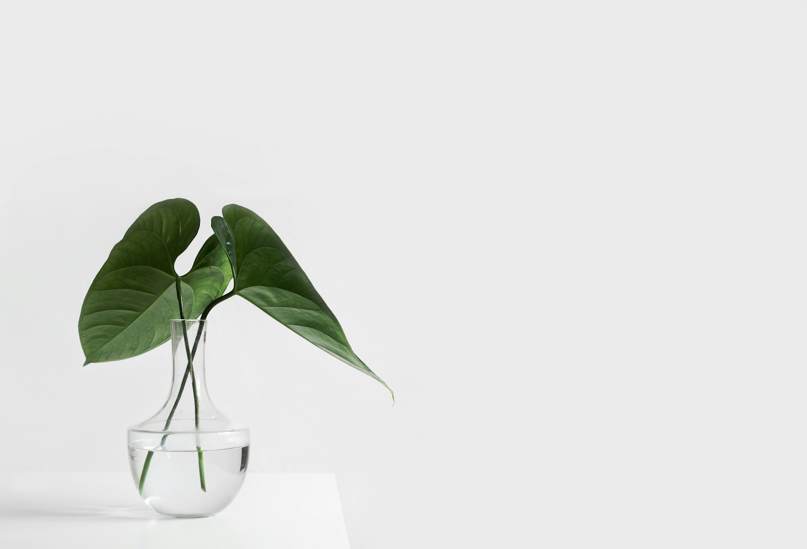 HSP & Uncluttered Living